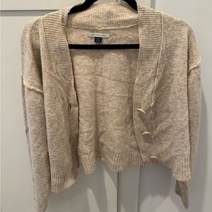 American Eagle Cardigan